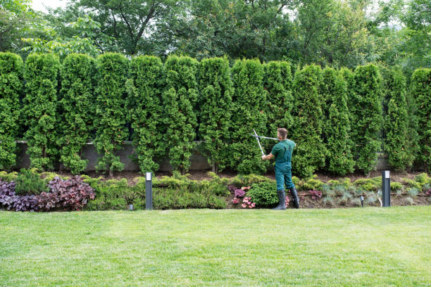 Best Grass Overseeding  in Winchester, VA